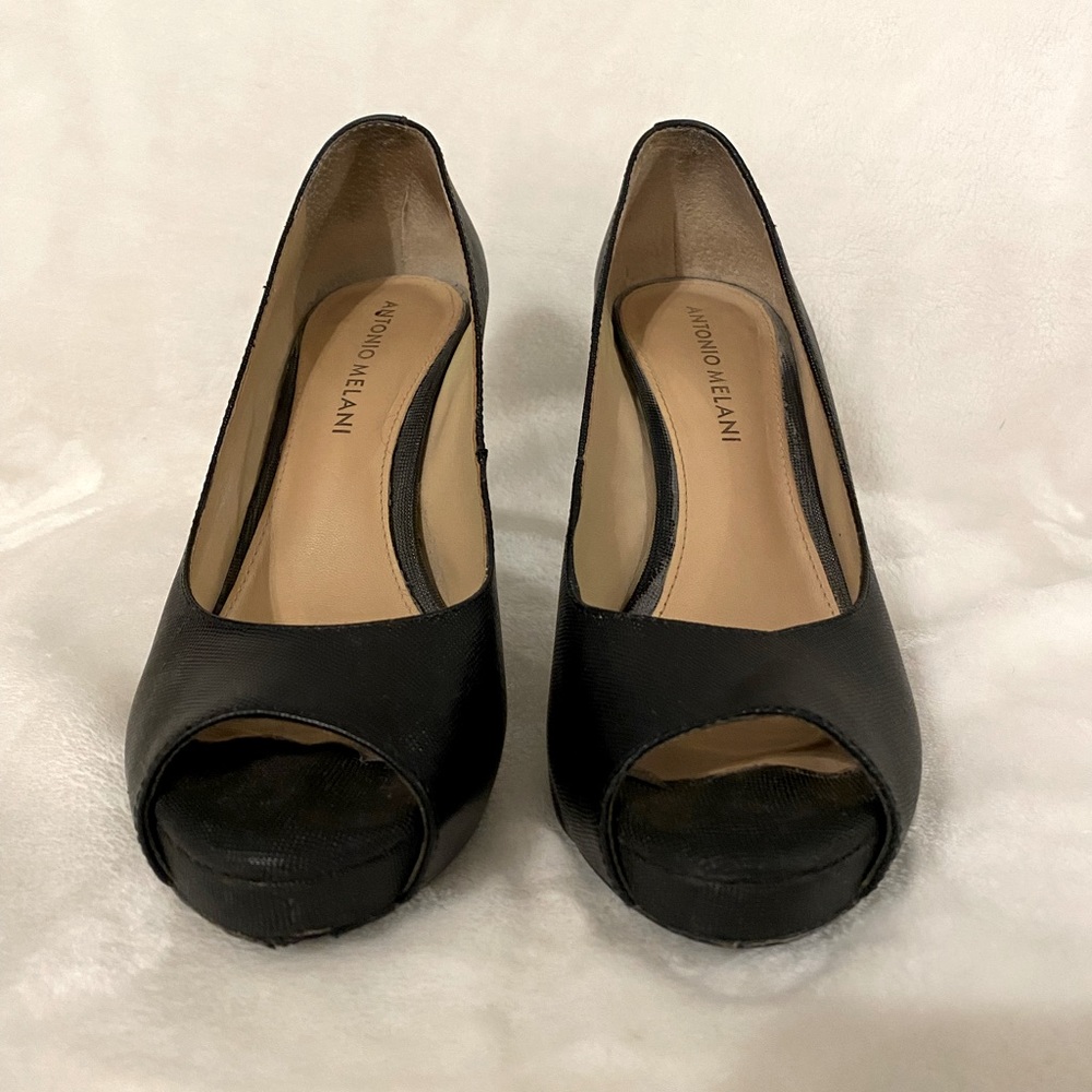 Antonio Melani Erika Platform Pumps 6.5